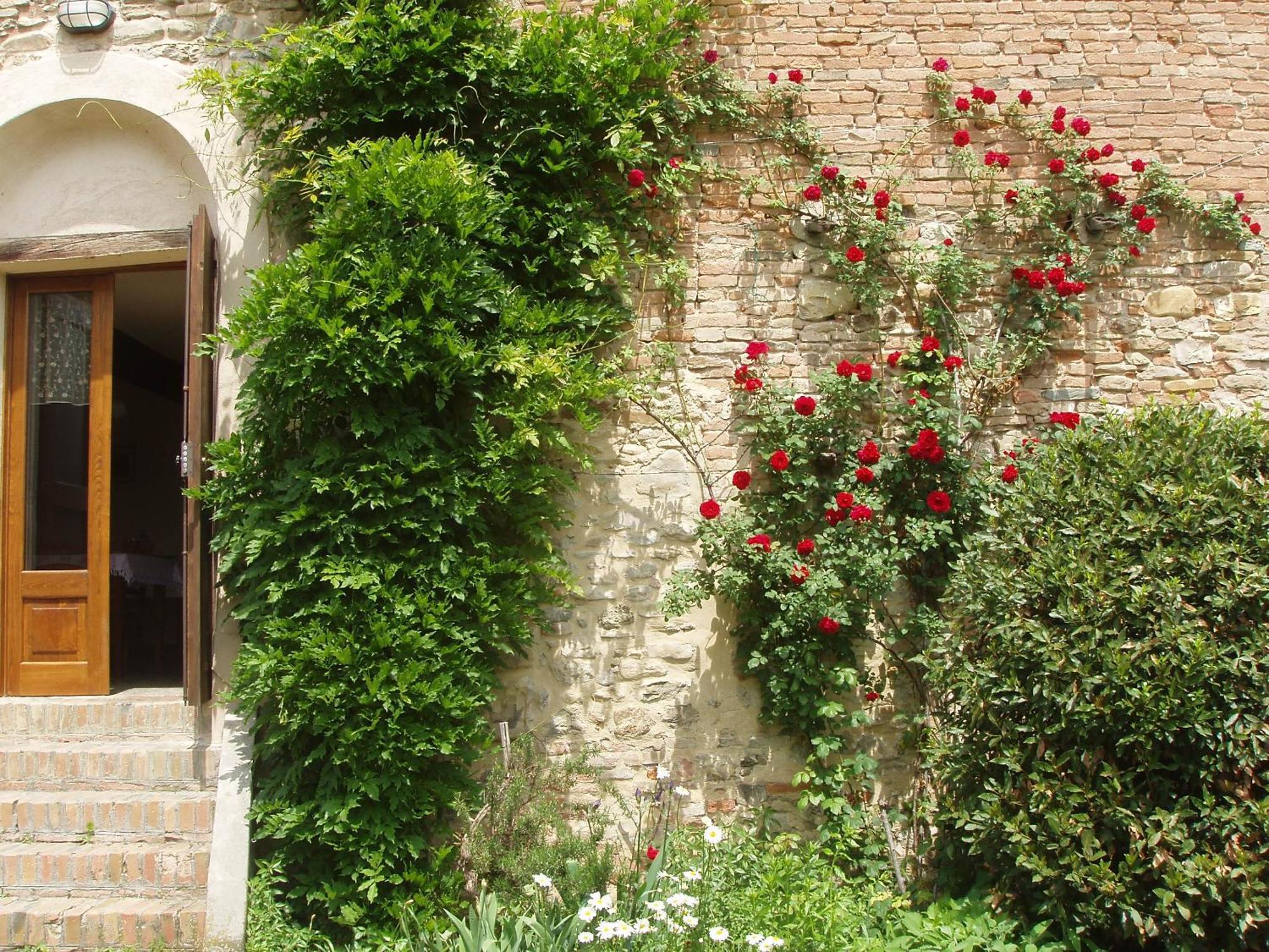 Agriturismo Ca' Bertu' Zappolino Zewnętrze zdjęcie